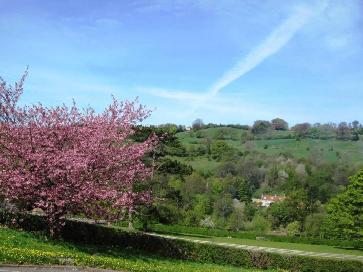 Beechlands B & B Sleights Exterior foto