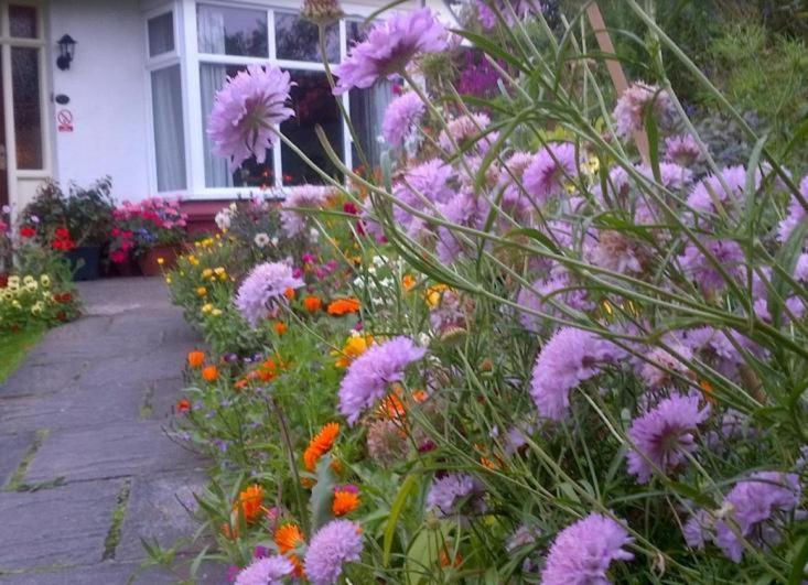 Beechlands B & B Sleights Exterior foto